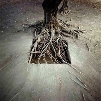 Root Sculpture, Nils Udo. (1995)