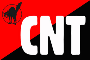 CNT_black_cat_logo