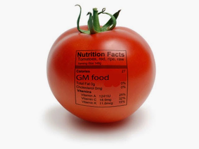 gmo-food1