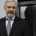Assange